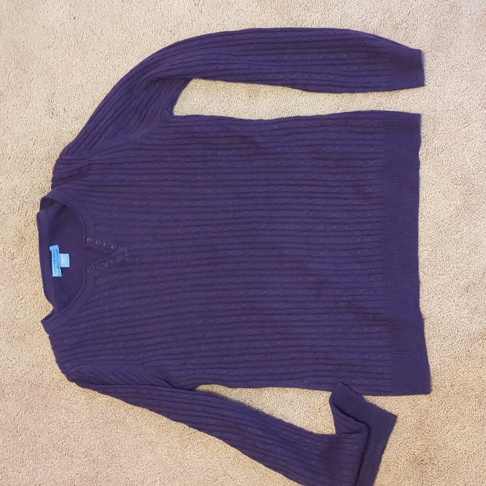 Laura Scott medium purple sweater